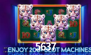 5637 bet